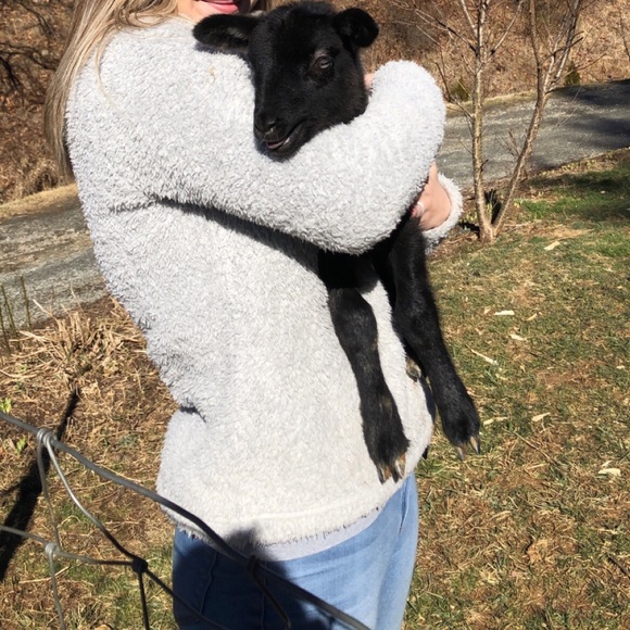 SOLD❗️BRAND NEW Patagonia - Picture 3 of 3